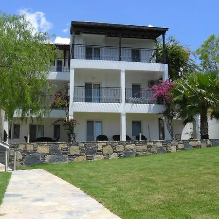 Sestra 2*
