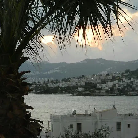 Otel Sestra